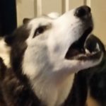 Profile picture of Sarah